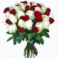 40 Red & White Roses