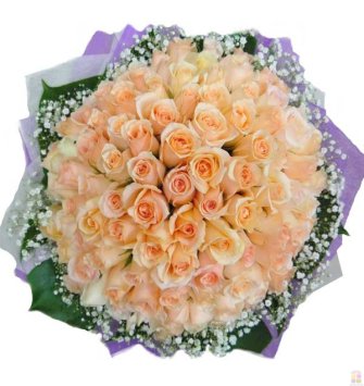100 Fresh Pink Roses Bunch