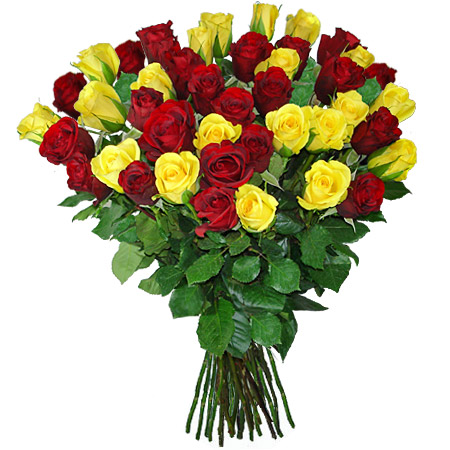 50 Red & Yellow Roses Bunch