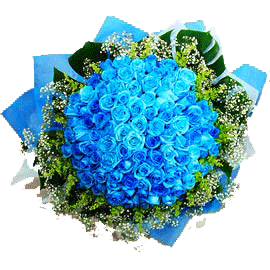 100 blue rose bunch
