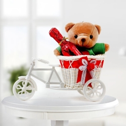 Teddy in Bicycle