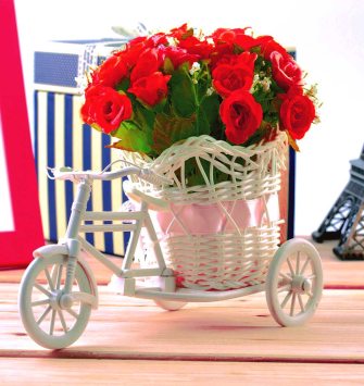 Red Roses Bicycle