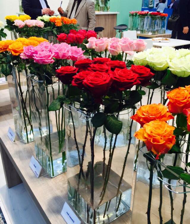 10 Vase Arrangements with 9 Roses